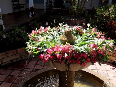 Hotel Aqua Vitae - Villa de Leyva, Boyacá - image - 18