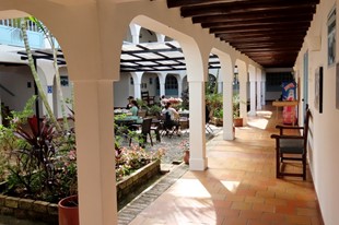 Somos Pet Friendly - Hotel Aqua Vitae - Villa de Leyva, Boyacá - image - 4