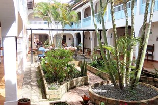 Somos Pet Friendly - Hotel Aqua Vitae - Villa de Leyva, Boyacá - image - 6