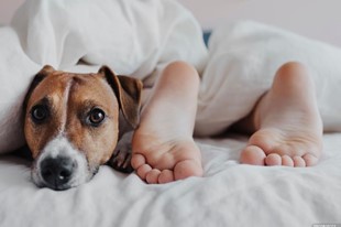 Somos Pet Friendly - Hotel Aqua Vitae - Villa de Leyva, Boyacá - image - 5